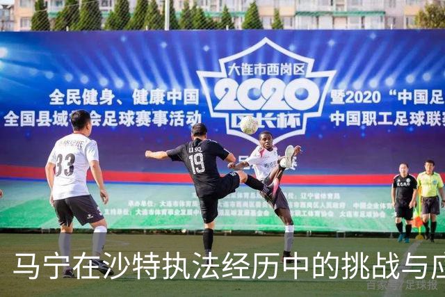 马宁在沙特执法经历中的挑战与应对分析
